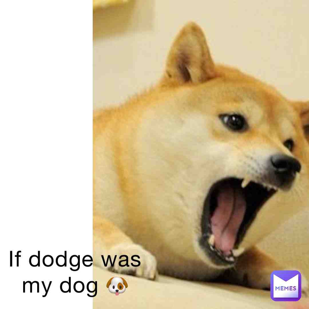 #dog #dodge