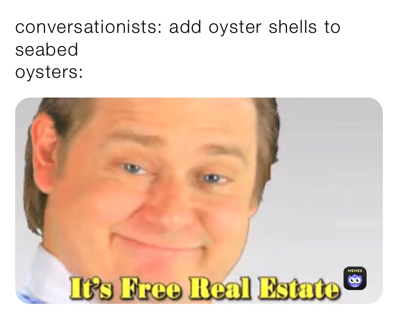 conversationists: add oyster shells to seabed
oysters: