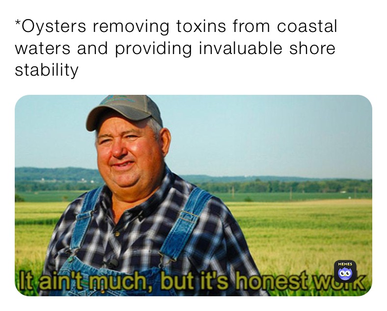 *Oysters removing toxins from coastal waters and providing invaluable shore stability