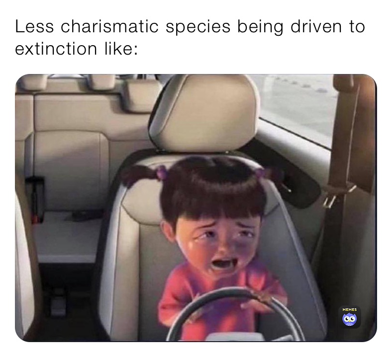 Less charismatic species being driven to extinction like: