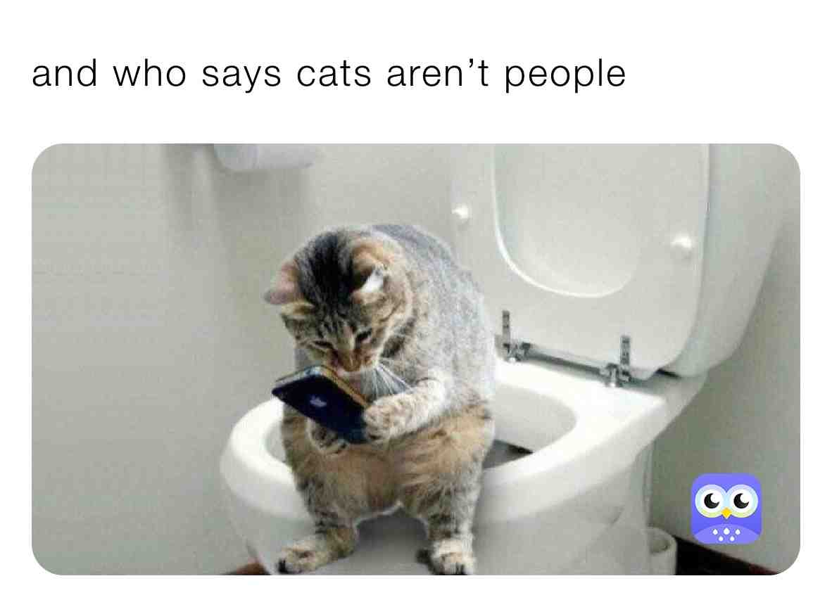 Meow  #catmemes  #cats