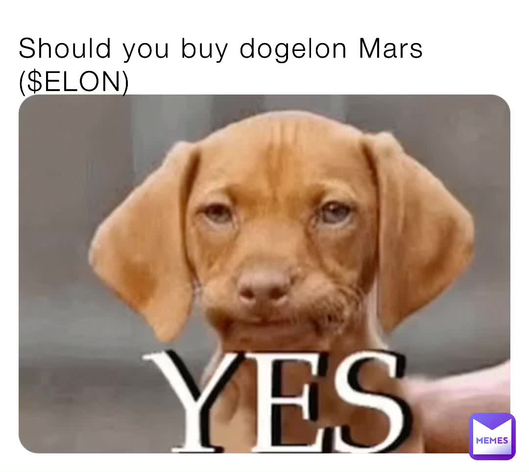 Should you buy dogelon Mars (ELON) DOGGYCOINKING Memes
