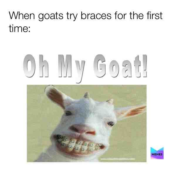 Imma spaim with some homemade memes #goat #goatmemes #fyp #braces #showlove #gamergirl #soccergirl