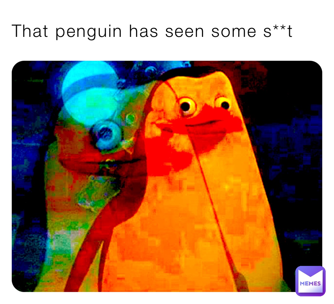 That penguin has seen some s**t