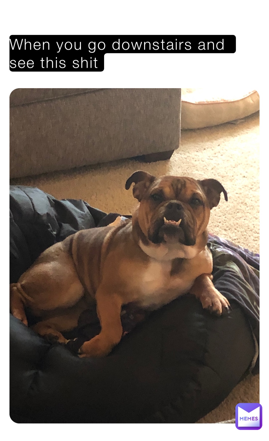 When you go downstairs and see this shit