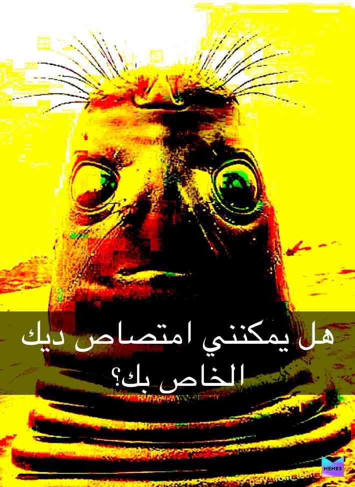 #yourcommiecomrade  #deepfriedmemes  #relateable  #sexy  #nocondom  #blacklivesmatter  #arabfunny