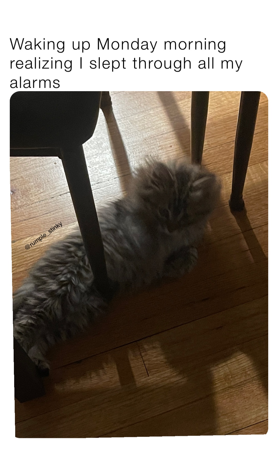 Meme by rumple_stinkymemes