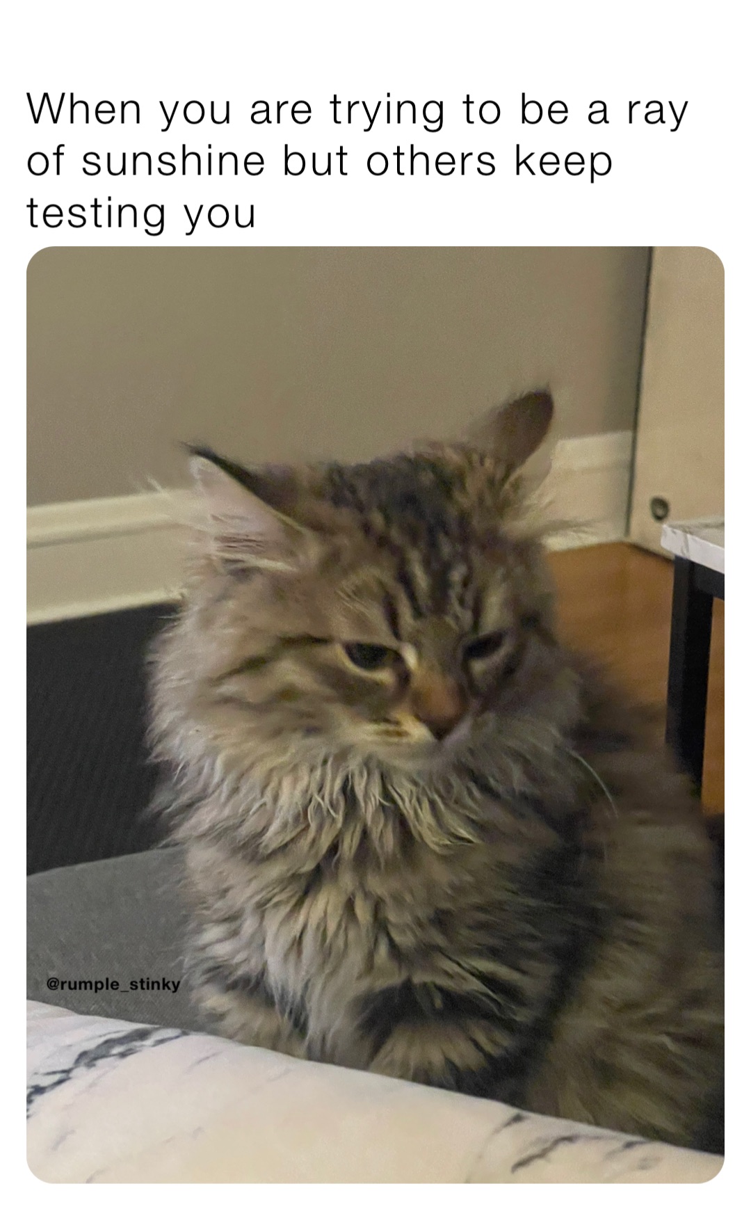 Meme by rumple_stinkymemes