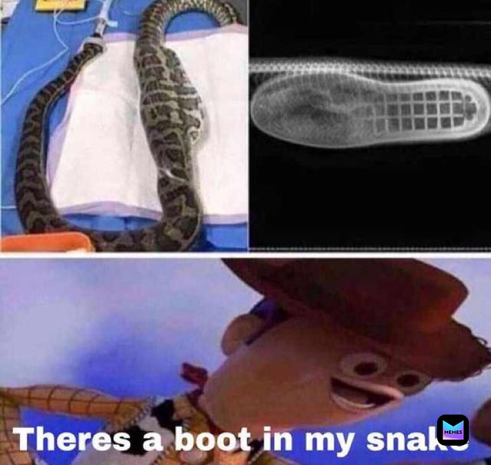 snakes meme