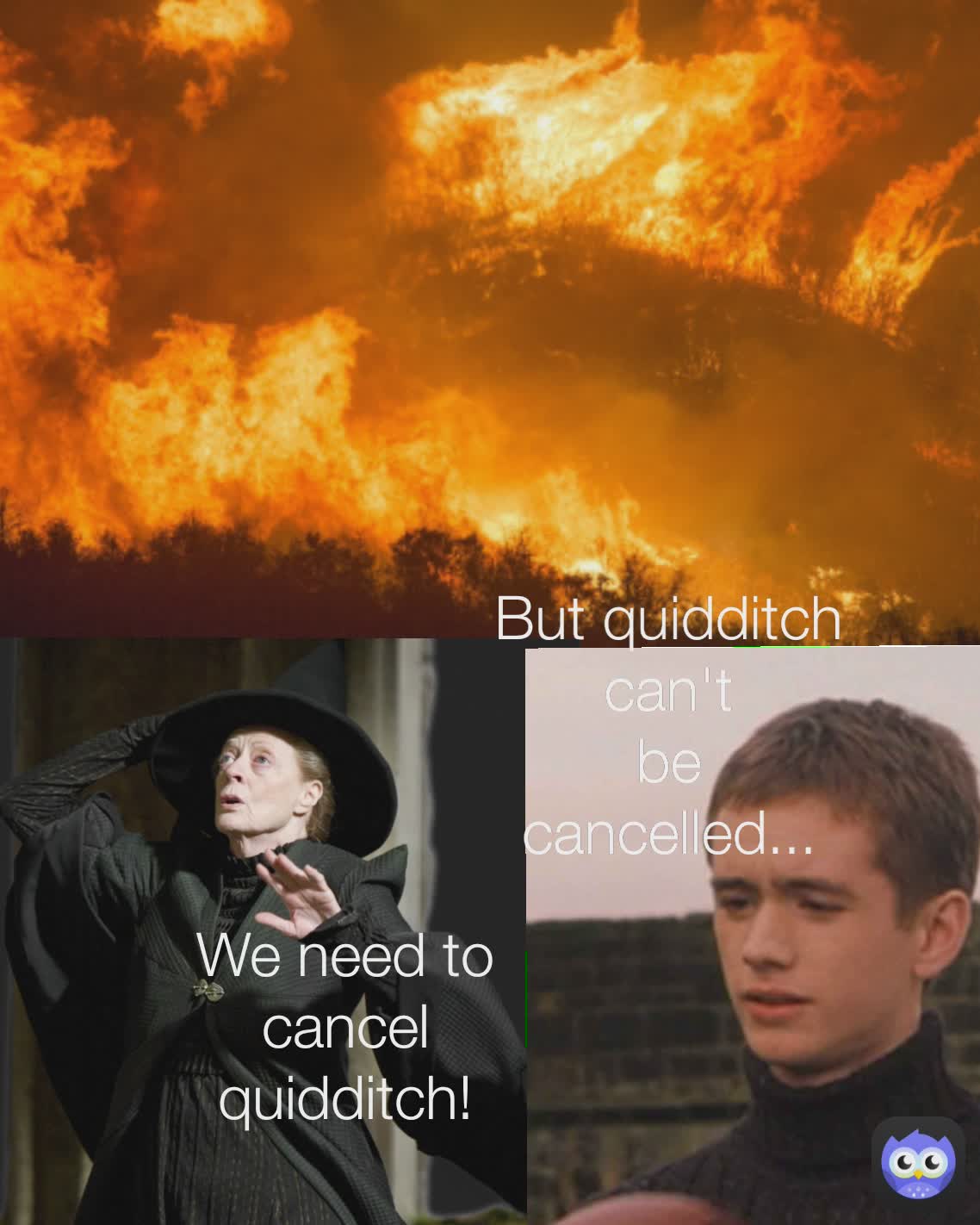 We need to cancel
quidditch! But quidditch can't
be cancelled...