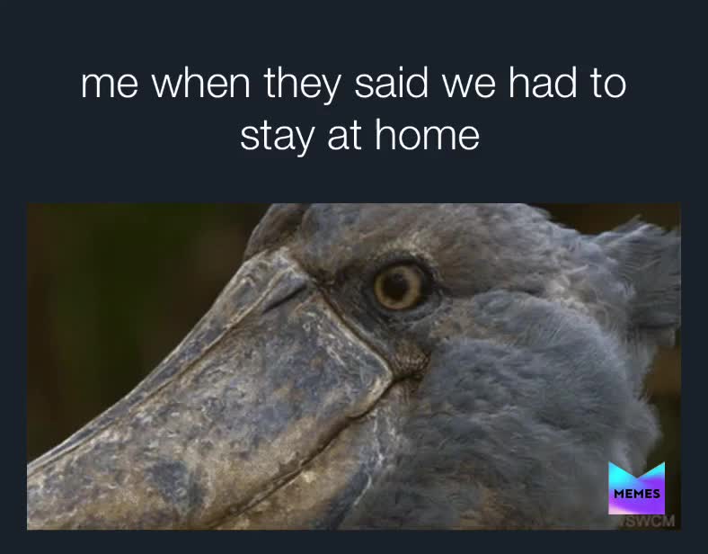 post-by-star-baby-memes