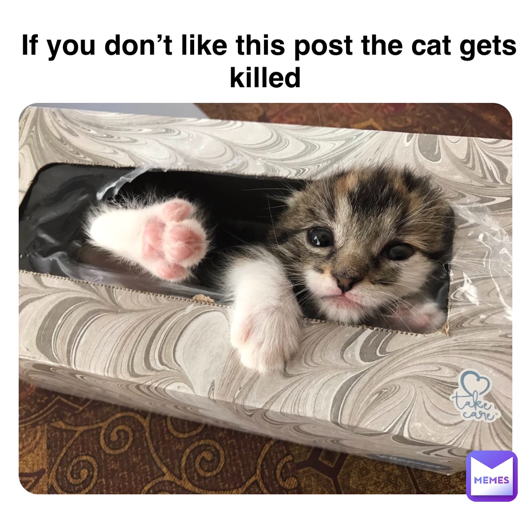 If you don’t like this post the cat gets killed