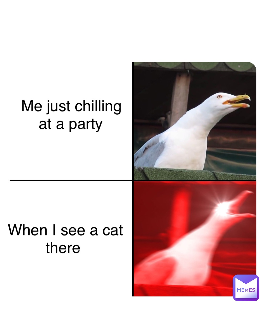 Me just chilling at a party When I see a cat there