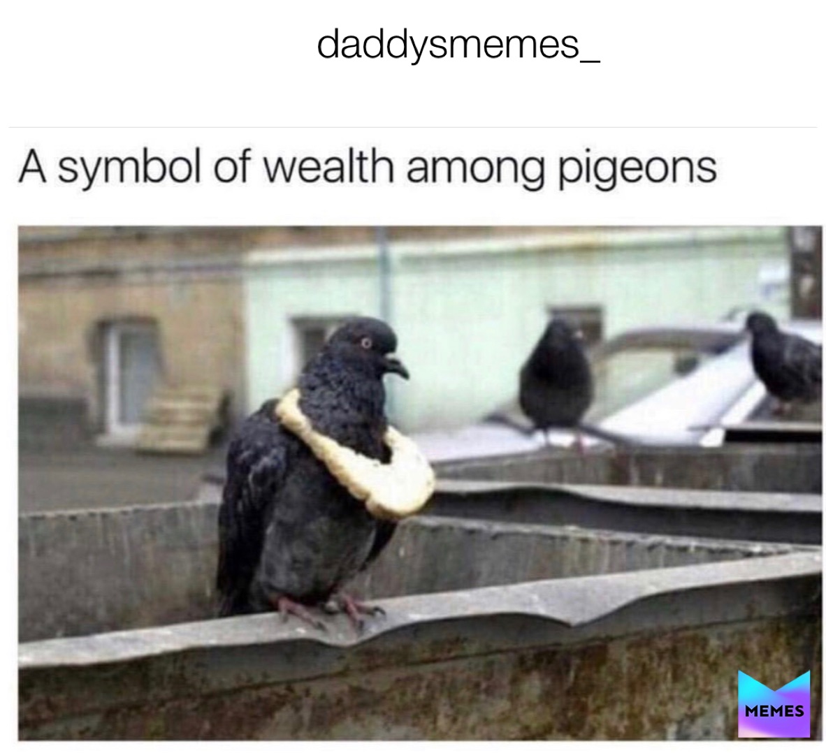 Meme by daddysmemes_