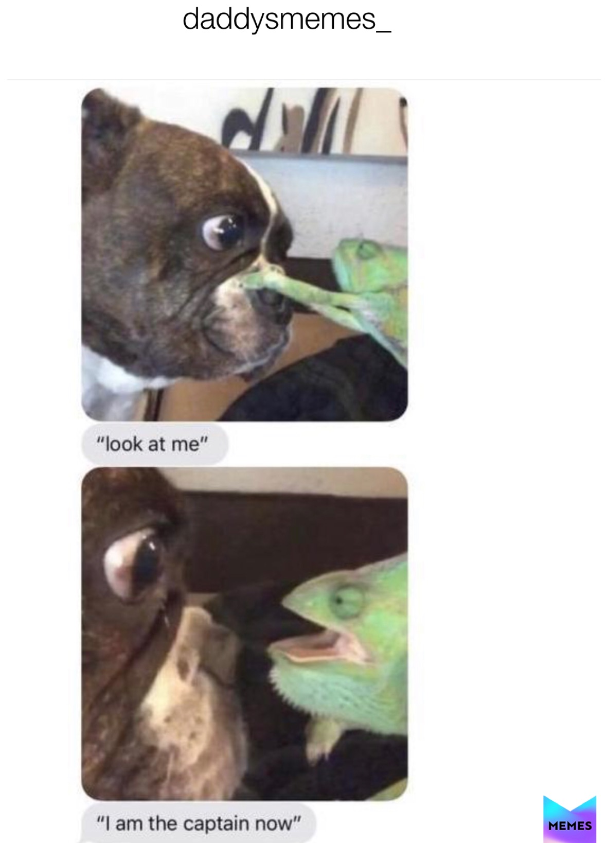 Meme by daddysmemes_