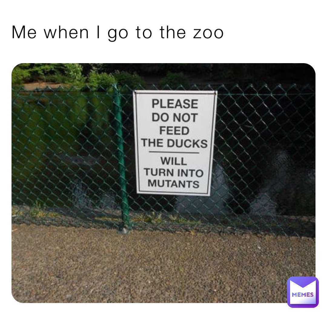 Me when I go to the zoo