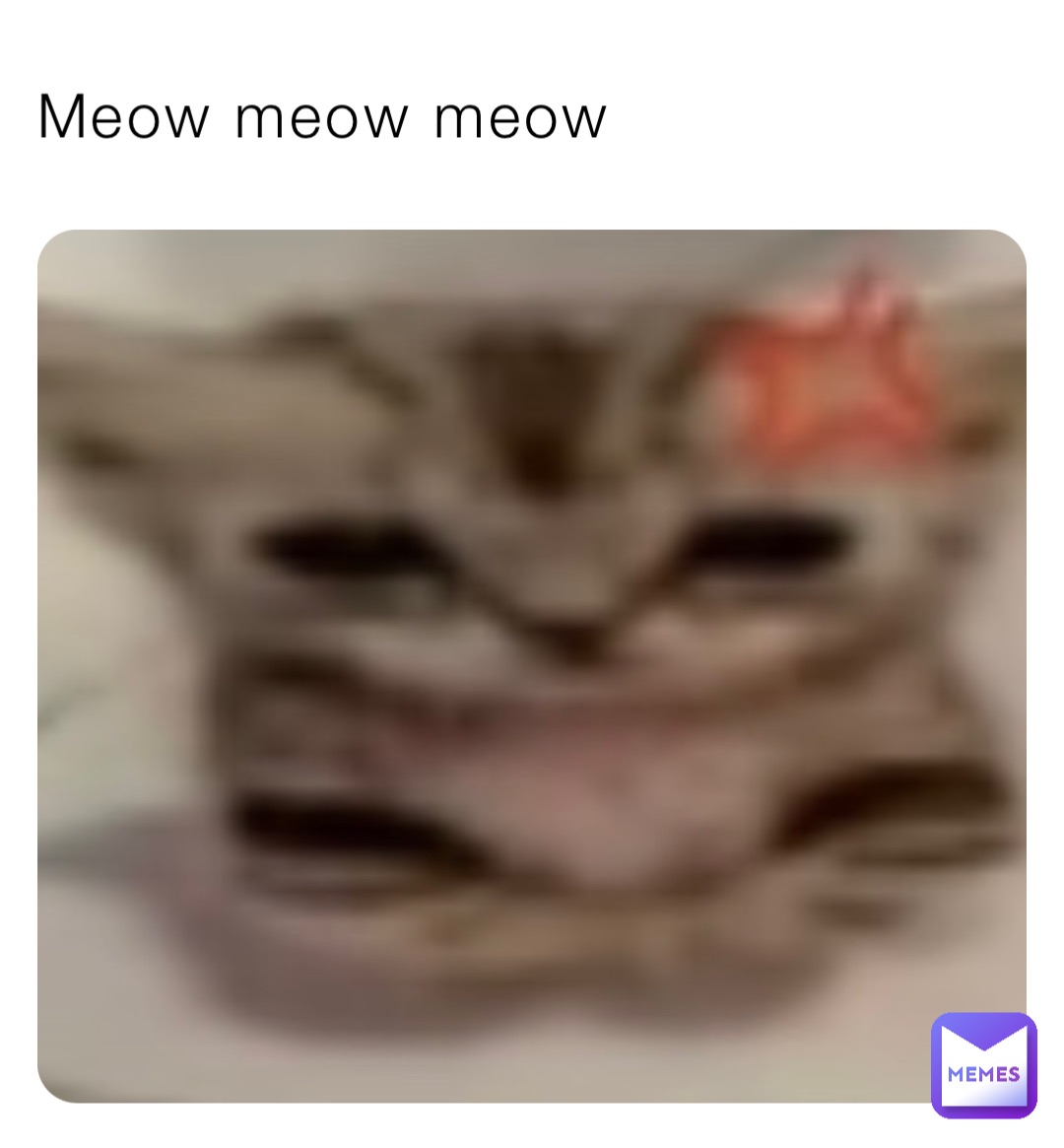 Meow meow meow