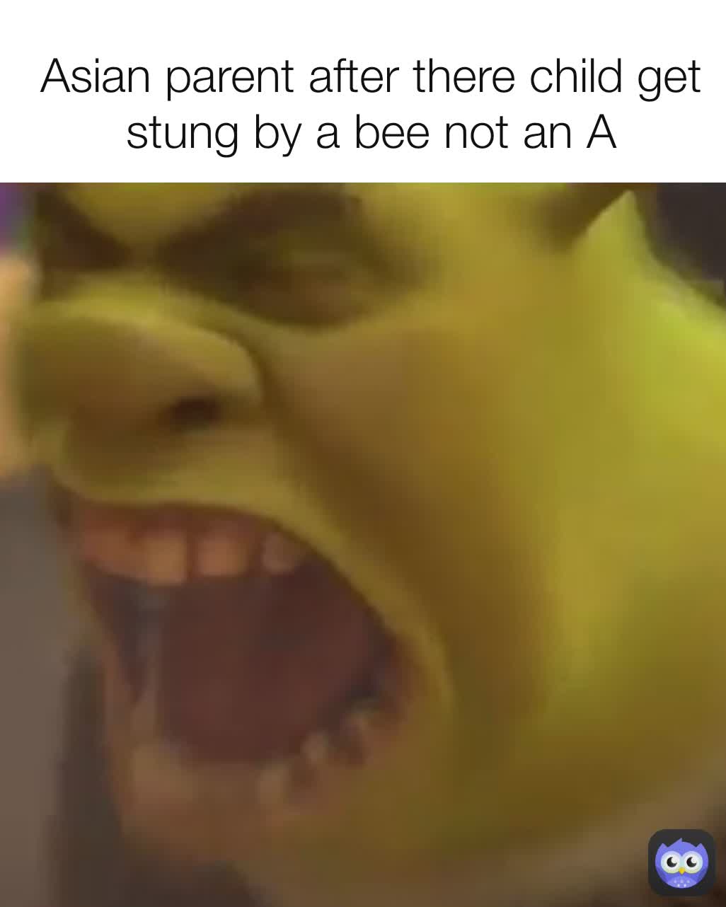 Asian parent after there child get stung by a bee not an A