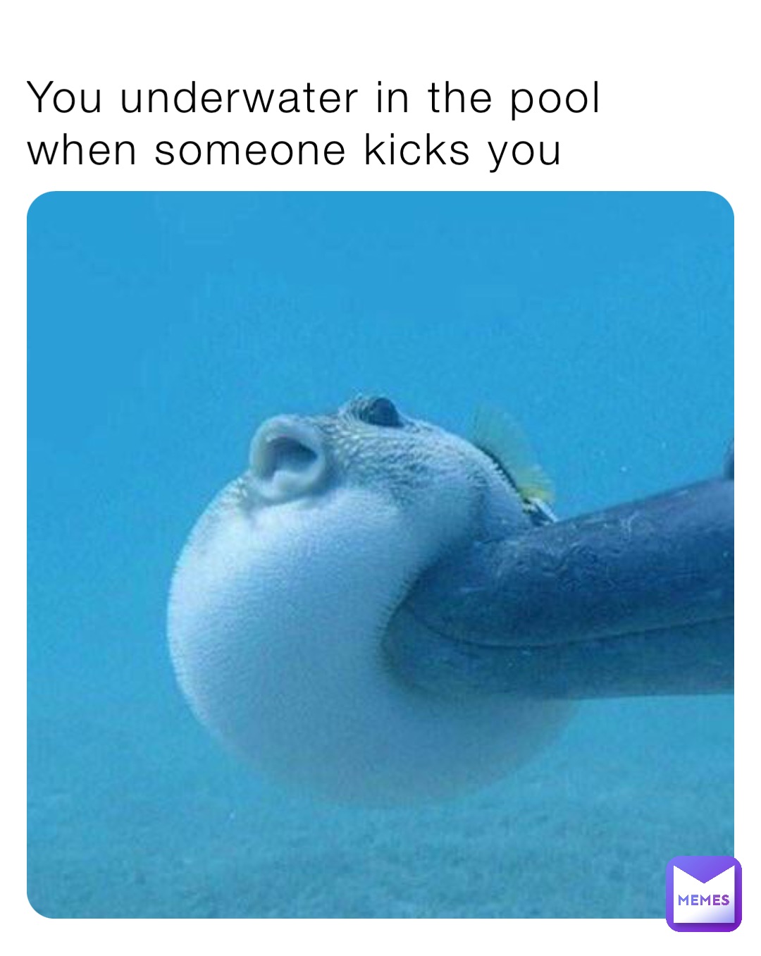 You underwater in the pool when someone kicks you