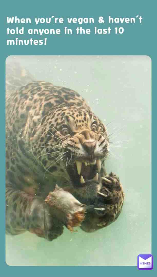 Yay! Just made my first meme \ud83d\ude1d
#jaguar #vegan #memes #diet