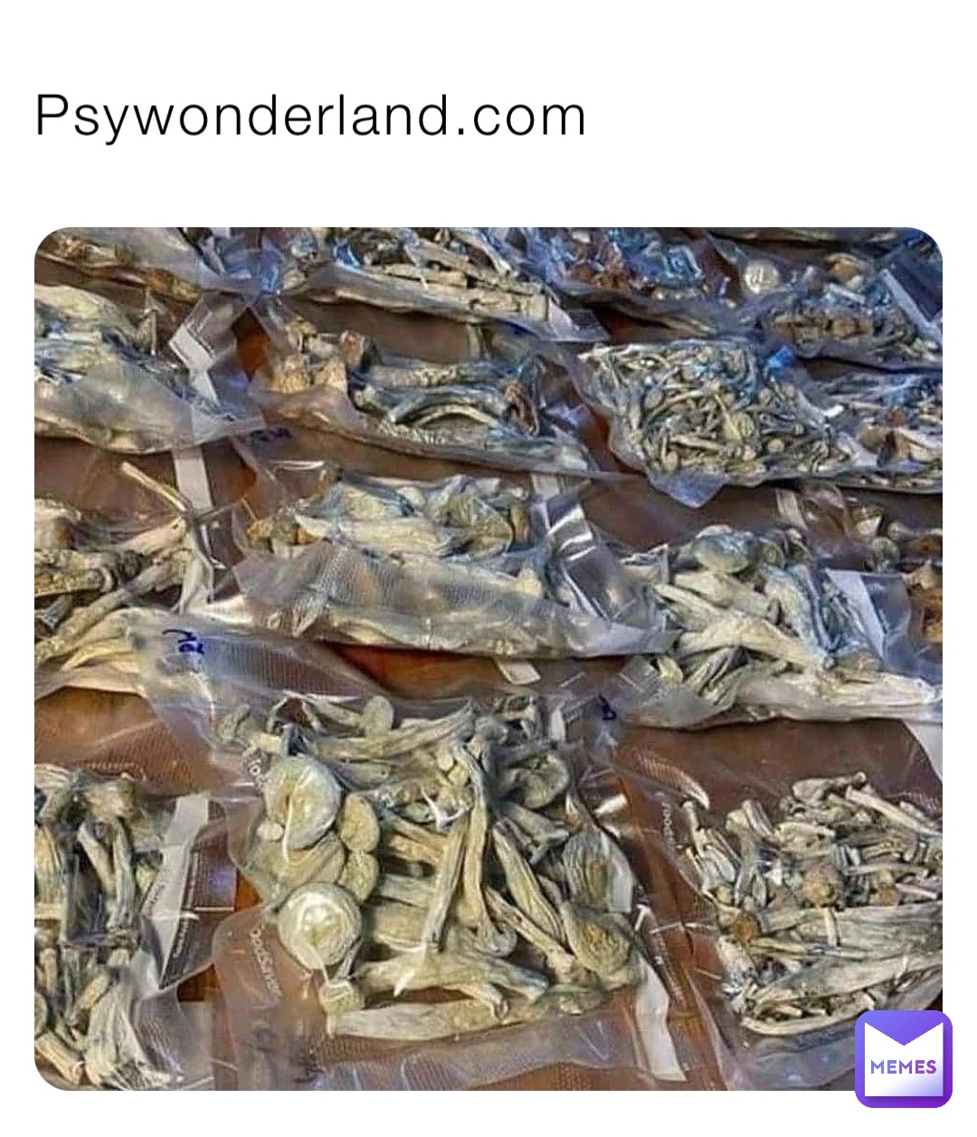 Psywonderland.com