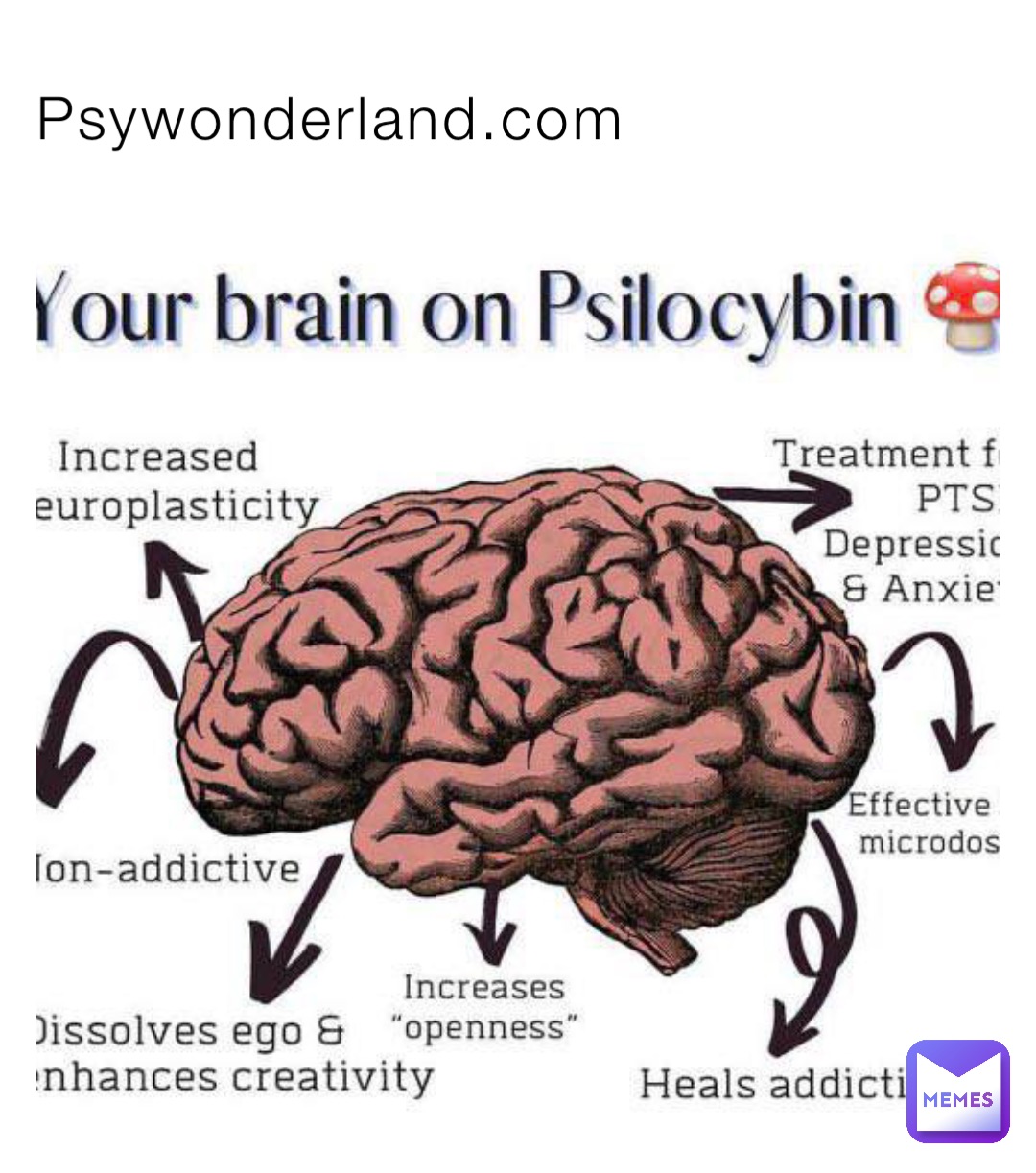 Psywonderland.com