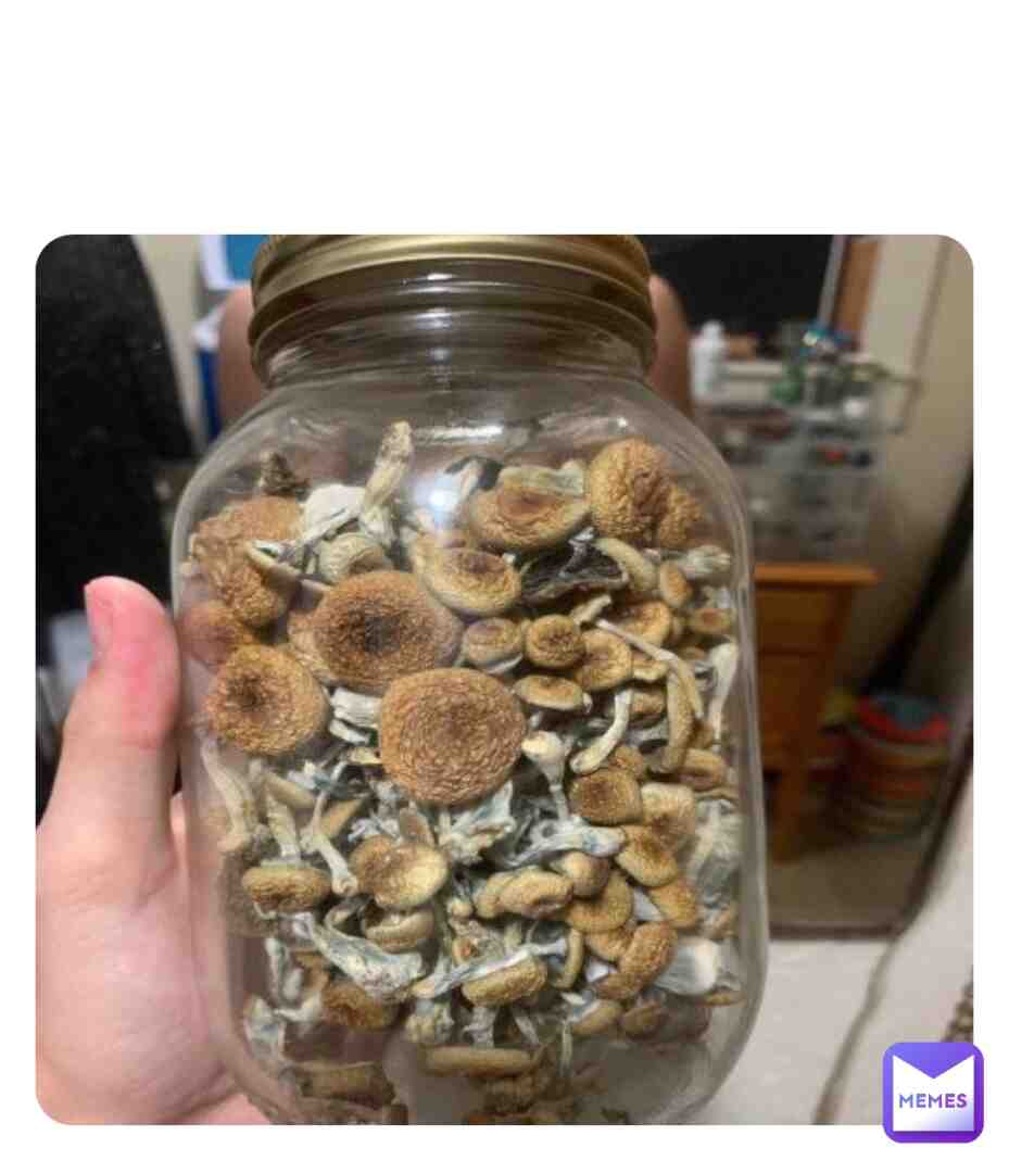 Psywonderland.com