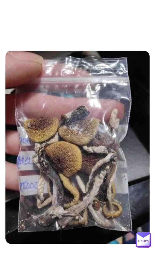 Psywonderland.com