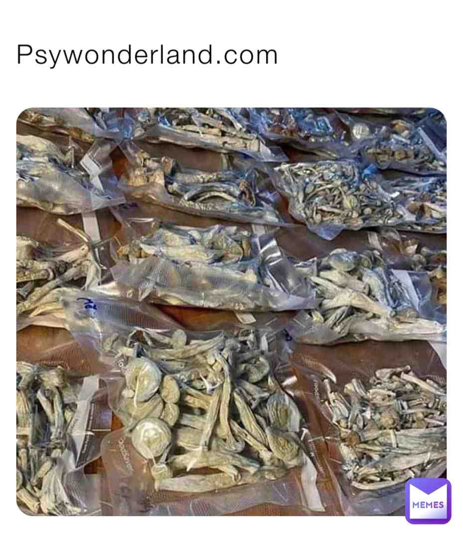 A site for all your purchases and order// psywonderland.com #acidtrip #lucy #lsd # #psychedelic #psychedelic
