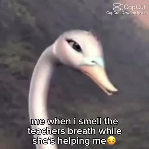 #downfallhigh
