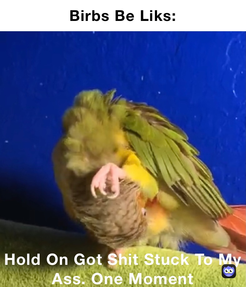 Birbs Be Liks: Hold On Got Shit Stuck To My Ass. One Moment