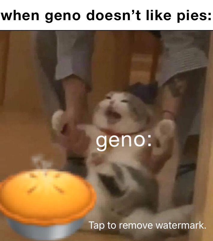 when geno doesn’t like pies: