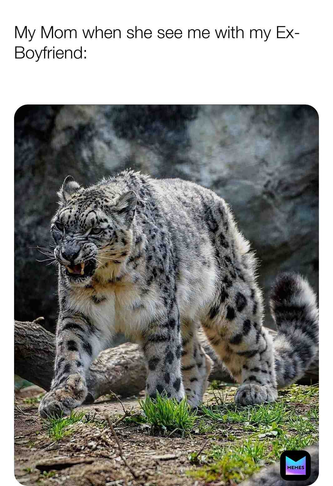 Follow me for more!😂 #memes #memeschallenge #tagafriend #foryou #test #follow #like #comment