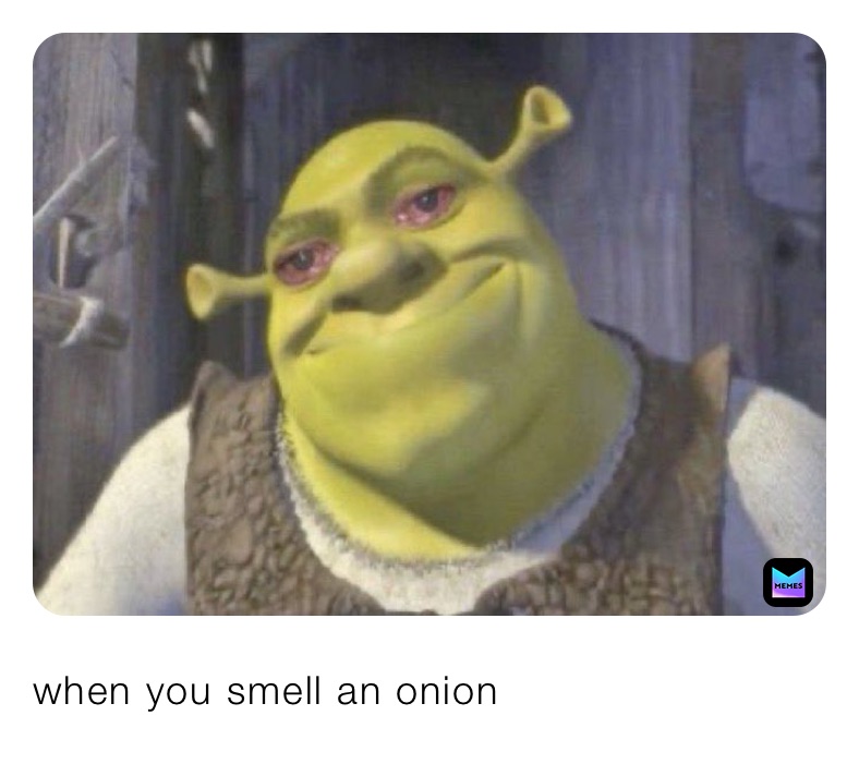 when you smell an onion Silent_Minotaur Memes