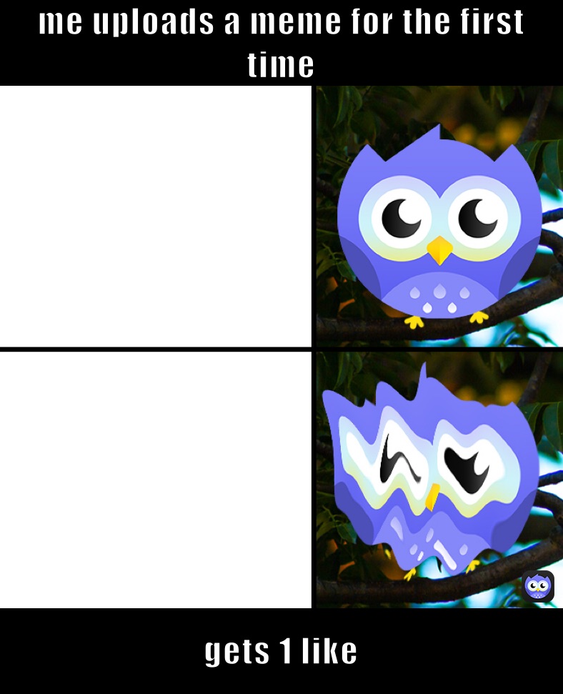 me uploads a meme for the first time gets 1 like