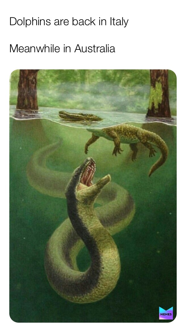 Meme by Ricardo_MEMElos