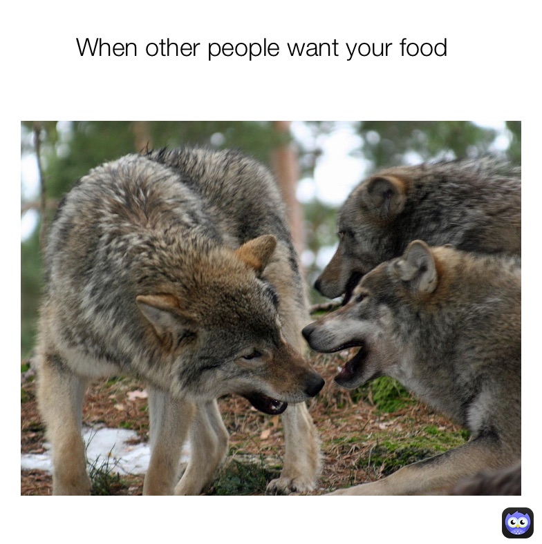 Meme by jackiealexandria