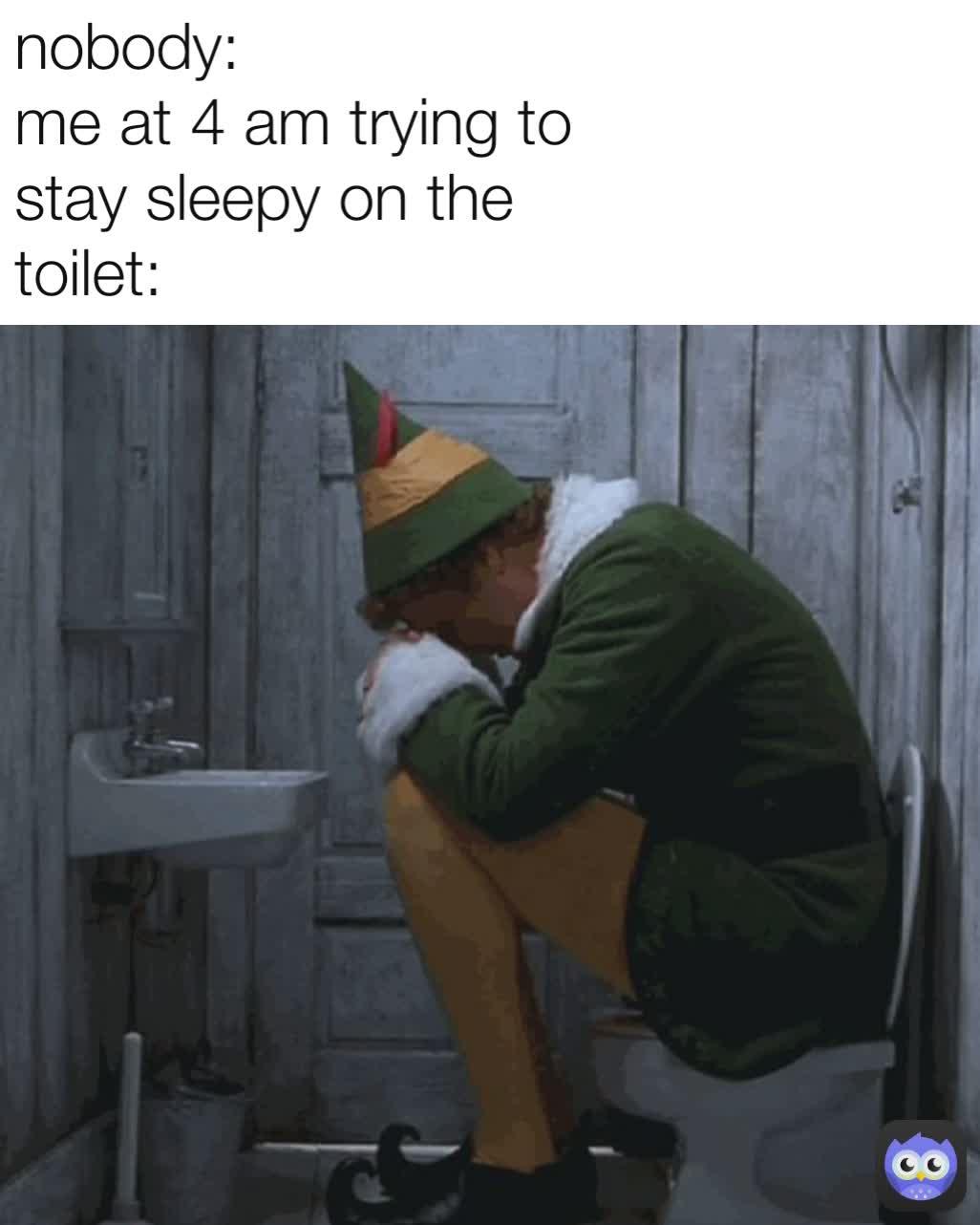 nobody:
me at 4 am trying to stay sleepy on the toilet: