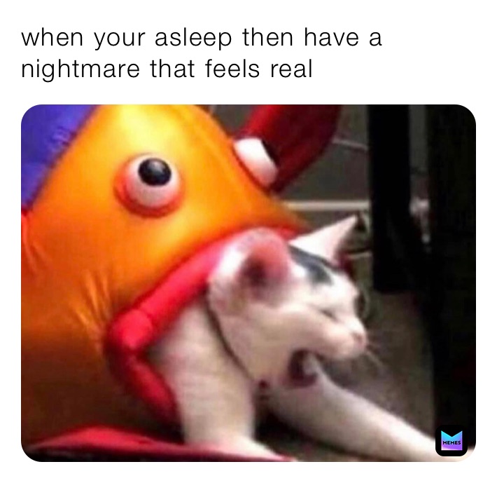 when your asleep then have a nightmare that feels real