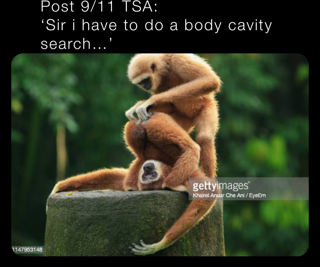 Post 9/11 TSA:
‘Sir i have to do a body cavity search…’
