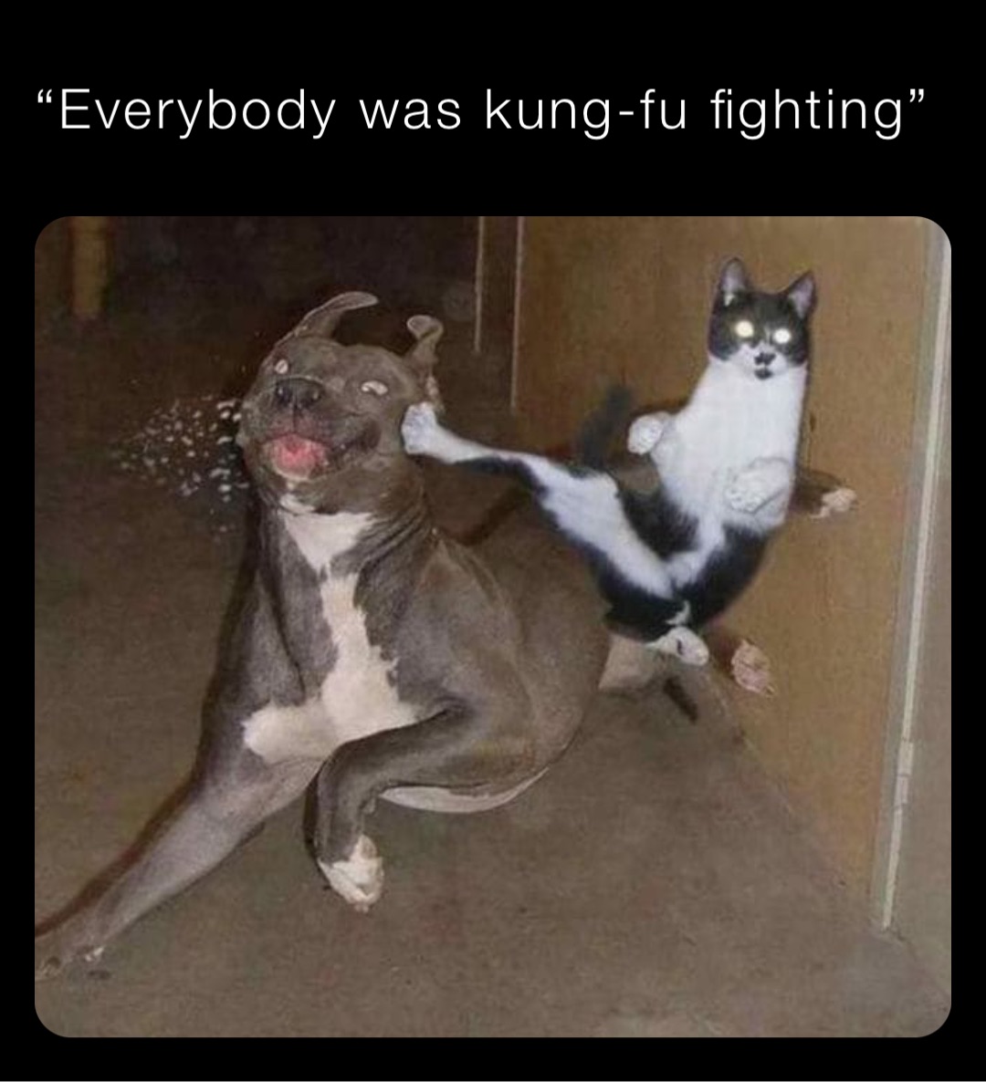 “Everybody was kung-fu fighting”