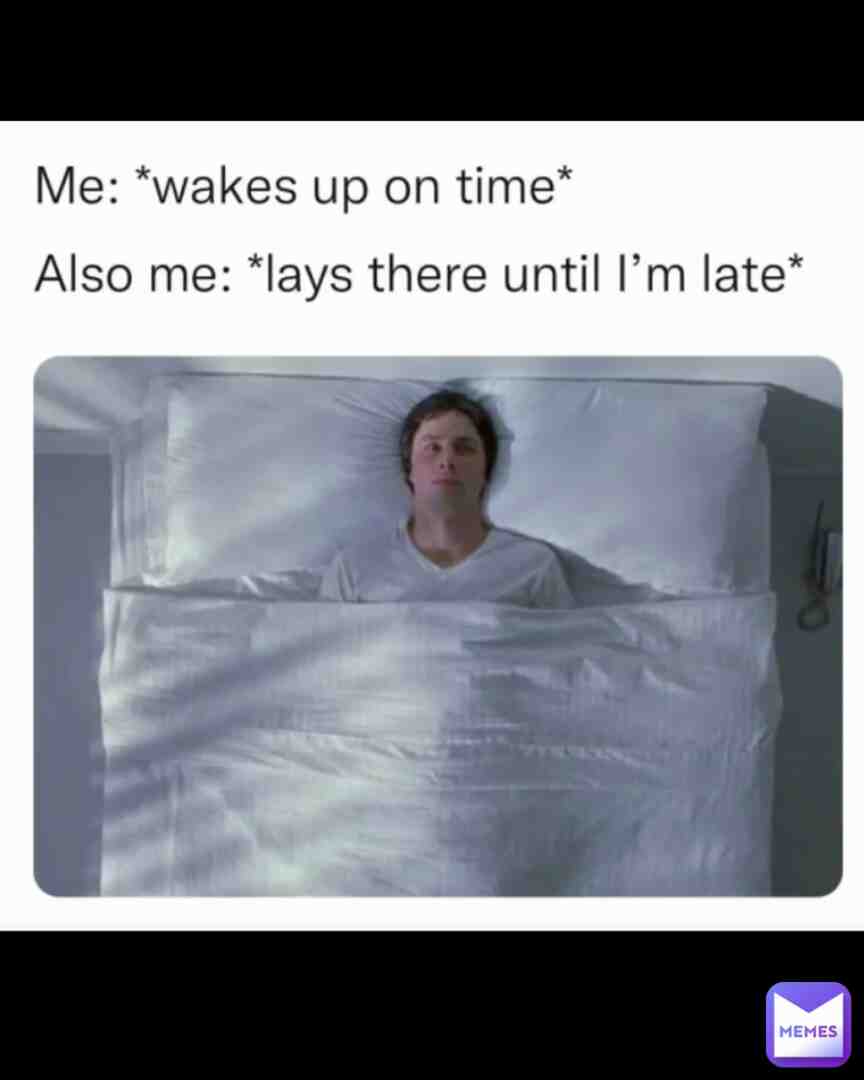 Meme shared by @Dick_owner
