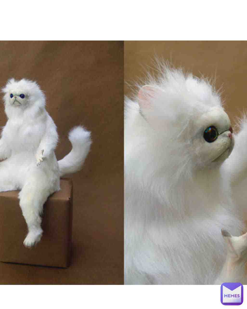 We trying to understand how to rezize the.picture correctly