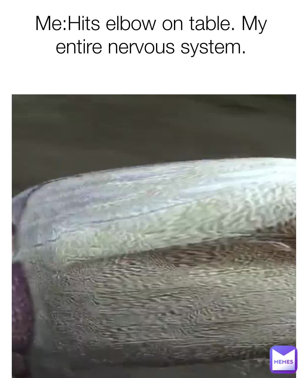 Meme shared by @uniqueusername