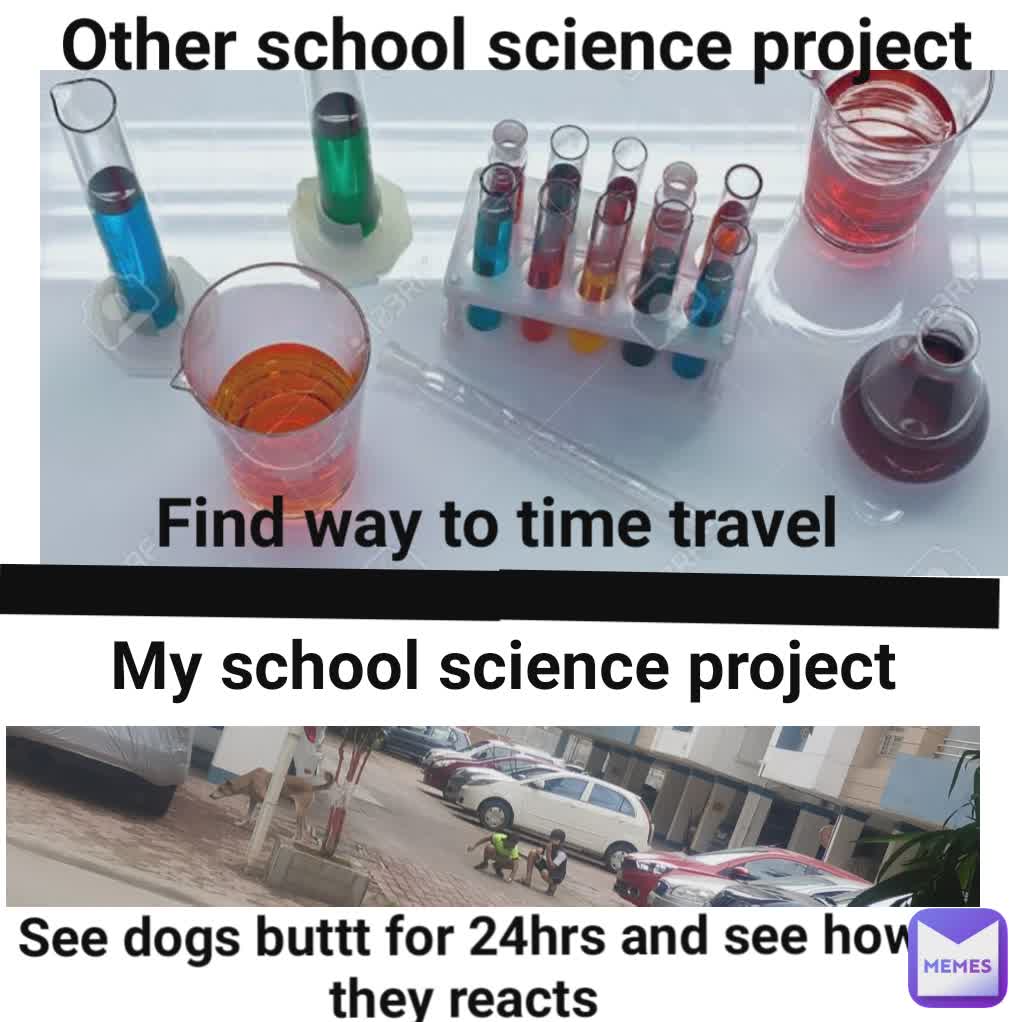 Other school science project Find way to time travel _ _ My school science project  See dogs buttt for 24hrs and see how they reacts 