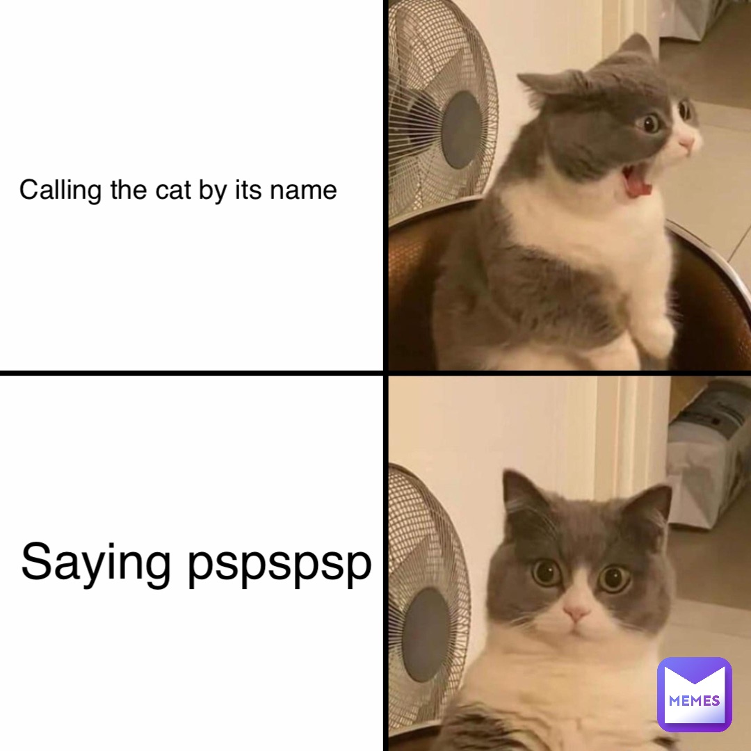 Calling the cat by its name Saying pspspsp