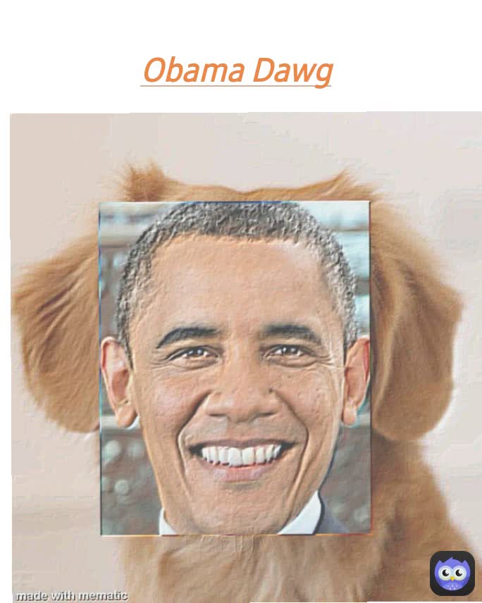 Obama Dawg