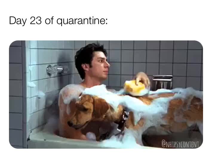 I just started to count the rice corns. 
 #memes  #meme  #dailymemes  #memesdaily  #funnymemes  #dankmemes  #memeoftheday  #scrubs  #laugh  #quarantine
