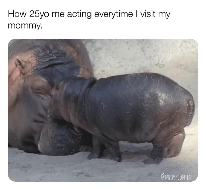 I love you mummy. 
 #love  #mommy  #mom  #parents  #baby  #always  #family