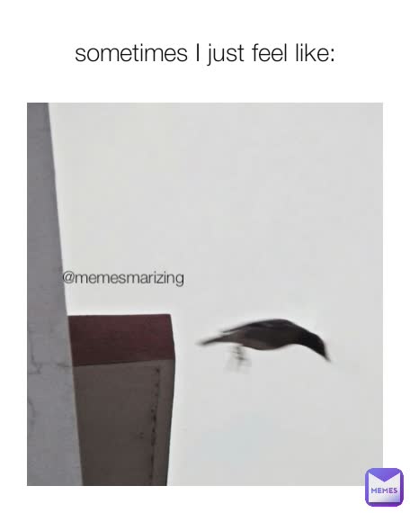 sometimes I just feel like: @memesmarizing